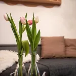 Haus Waldbach 펜션 할슈타트