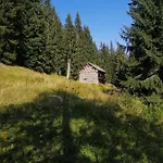 Haus Waldbach * Hallstatt