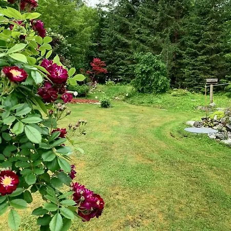 度假居 Haus Waldbach *