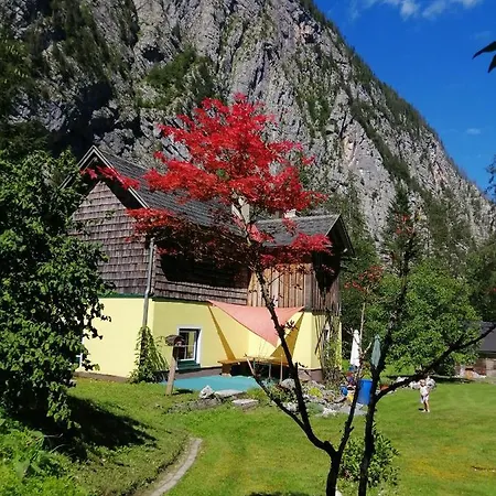 Holiday home Haus Waldbach Hallstatt