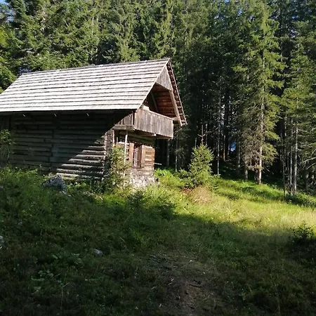 度假居 Haus Waldbach 哈尔施塔特