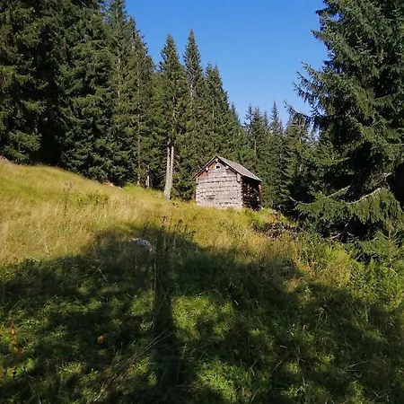 Haus Waldbach * Hallstatt