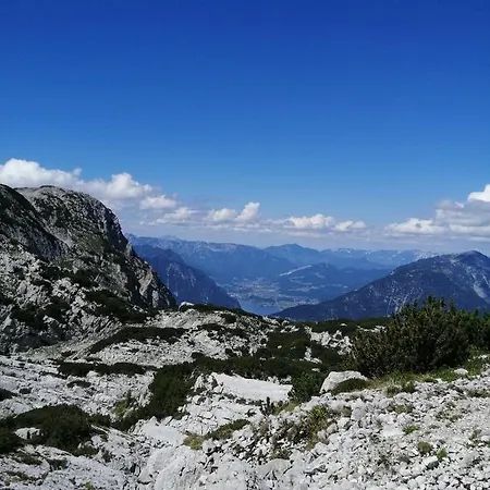 Haus Waldbach * 哈尔施塔特