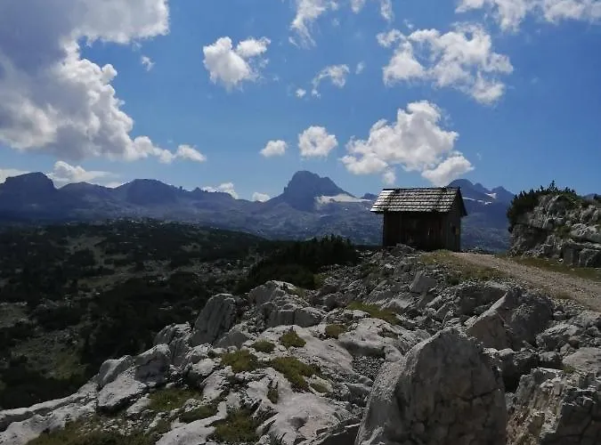 Haus Waldbach Χάλστατ