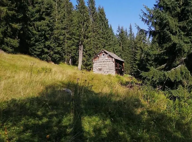 Haus Waldbach * Χάλστατ