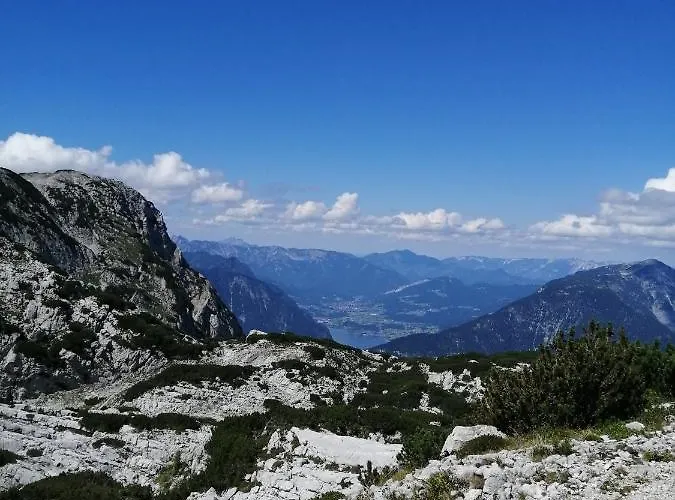 Haus Waldbach * Χάλστατ